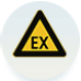 Ex